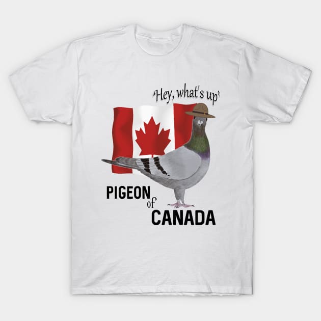 Pigeon of Canada Greeting T-Shirt by KC Morcom aka KCM Gems n Bling aka KCM Inspirations